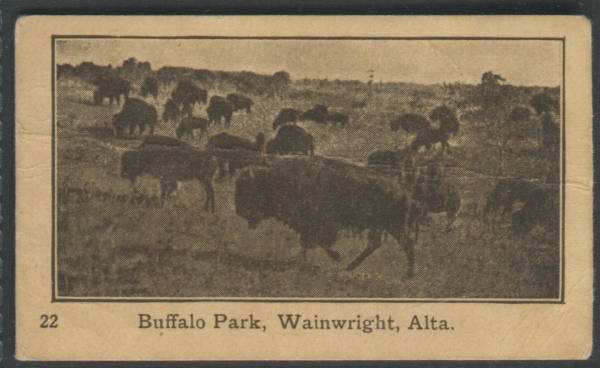 22 Buffalo Park, Wainwright, Alta